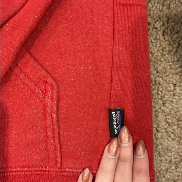 Patagonia Hoodie - Picture 2 of 5